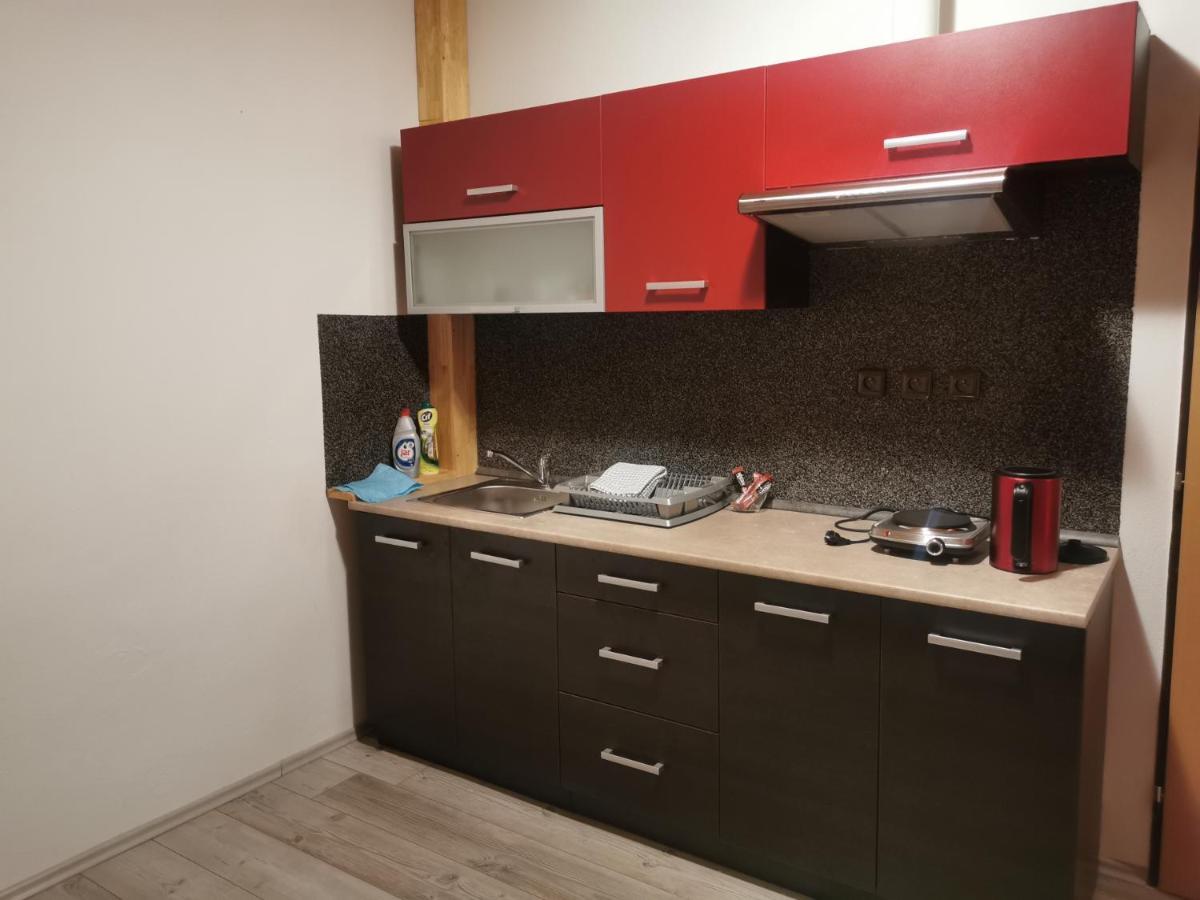 Apartman U Brabcu براكتايس المظهر الخارجي الصورة